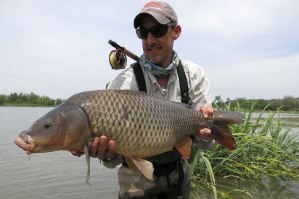 Pêche à la mouche comment prendre ses premières carpes à vue