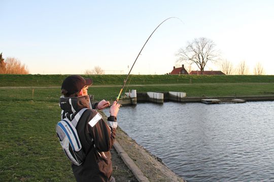 Canne à pêche casting : pourquoi et comment la choisir