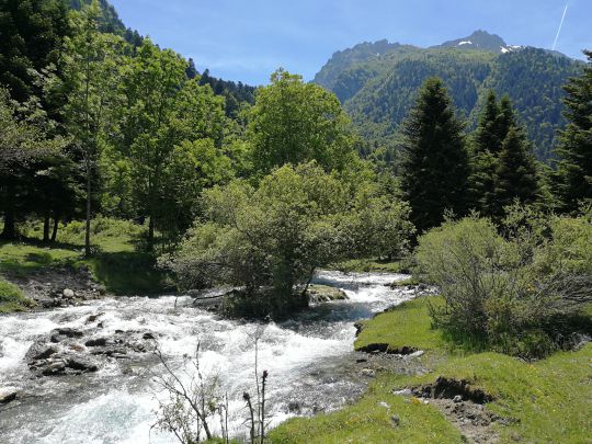 Adour-Lesponne