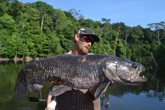 Aimara du lac de Petit-Saut en Guyane Française