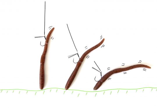3 manières différentes de monter un worm en neko rig.