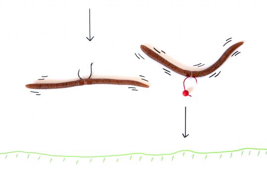 Lors de sa descente vers le fond, en Inch Wacky le worm ne descendra plus sous le seul effet de sa densité comme en Wacky (à gauche) mais sera entrainé vers le fond par la tête lestée (à droite).