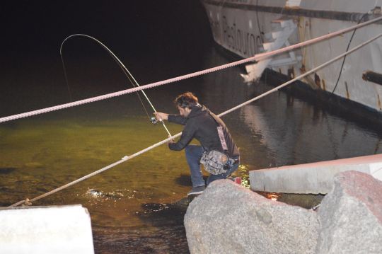 Les ports restent des spots privilégiés pour le rockfishing.
