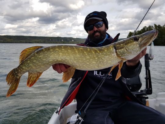 Brochet pris au lipless (TN Trigon) ramené lentement sur le substrat.