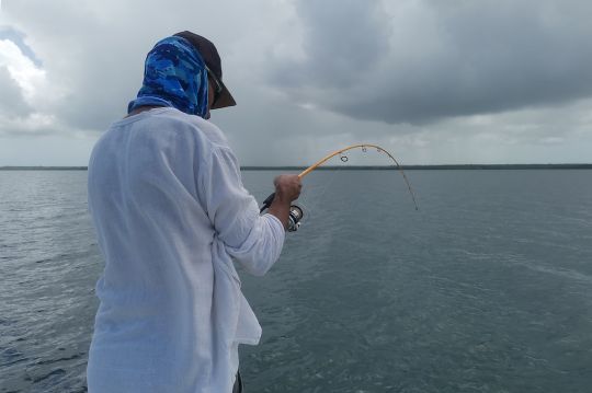 Pêche au leurre du bord en Guadeloupe : un trio gagnant ! – Guadeloupe Pêche  Exotique