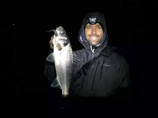 De jour comme de nuit, les Gulp sont très efficace pour la pêche à la volée.
