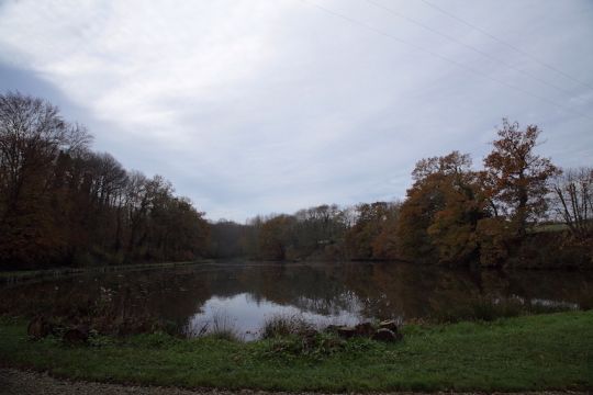 Le carpodrome des pins est un plan d'eau d'une superficie de 1,2 ha.