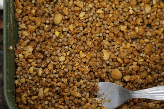 Filet PVA Soluble Pour Appâts De Pêche à La Carpe – 5 Mètres, 18 Mm – Augmente Les Captures, Facile à Utiliser