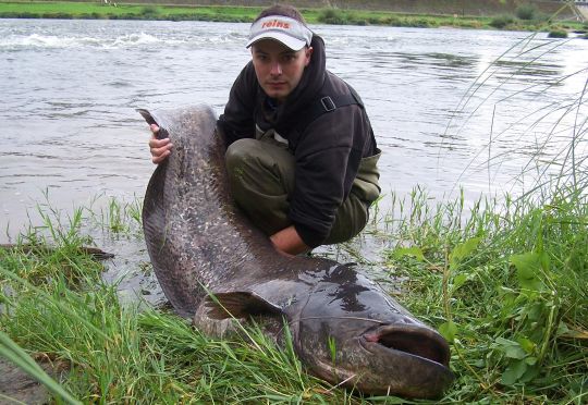 Le combat n'est jamais gagné avance avec les silures de Loire.