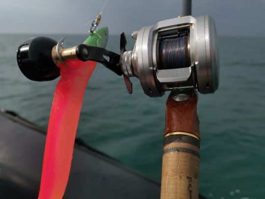 Tresse 8 brins MTX8 MULTICOLORE 300M 16/100 pêche en mer pour les clubs et  collectivités