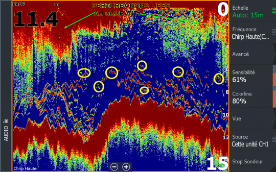 Capture d'écran d'un Lowrance HDS 12. On y voit des bars, actifs, dans une zone fortement oxygénée en raison du courant important.