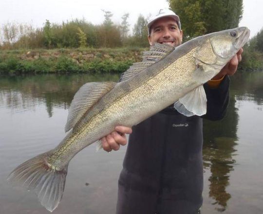 Si un gros poisson est prélevé ou disparaît, il sera remplacé par un autre gros sujet car le spot convient parfaitement à des poissons de cette taille. 