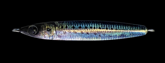Le Jig R-SARDINE dans sa finition Iwashi (sardine) ultra-réaliste.