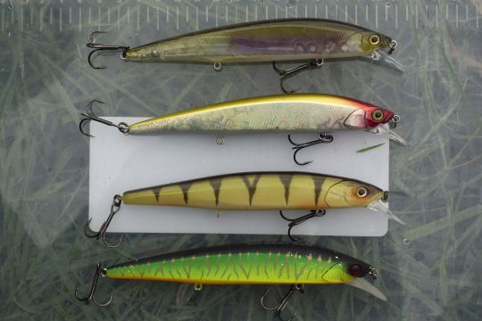 Exemple d'échantillon de coloris de jerkbait minnows pour la pêche du brochet.