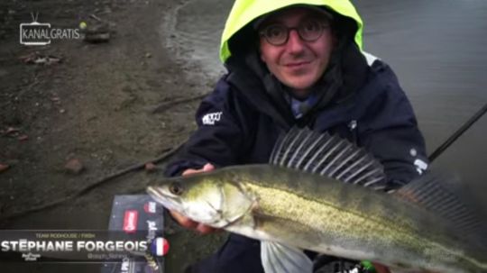 La pêche du sandre du bord n'est pas simple et demande de comprendre ce poisson et ses moeurs.