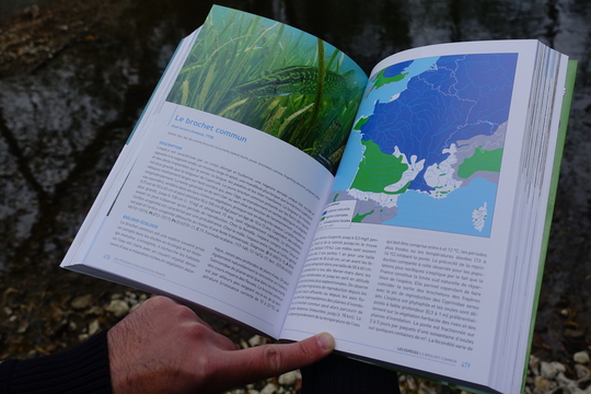400 pages organisées comme un guide ultra complet répertoriant l'ensemble des espèces de poissons d'eau douce de France