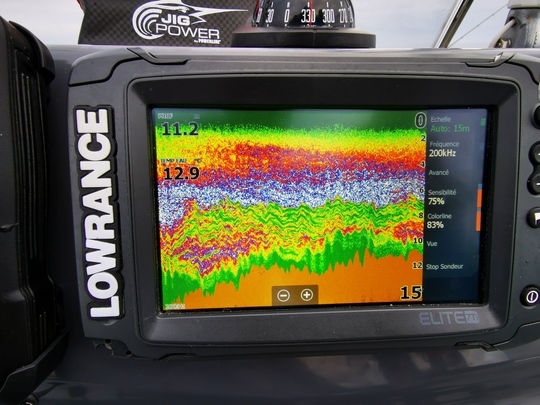 Le sondeur Lowrance indique un banc épais de bars proche du fond.