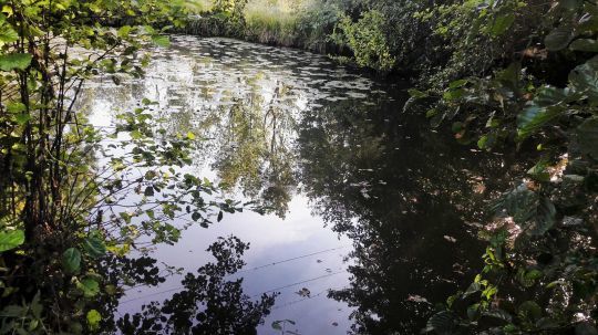 La rivière est un terrain de jeu extraordinaire. Freedom !