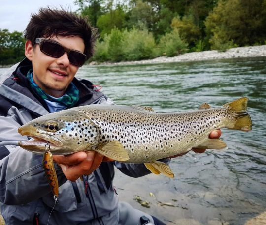 Un poisson s'approchant des 50cm à l'ondulante lors d'une pêche de précision dans des blocs rocheux.