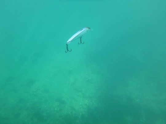 Puis à l'aide d'un poisson nageur par exemple, prospecter la couche d'eau supérieure.