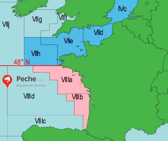 Divisions des eaux européennes par le CIEM en Atlantique nord-est.