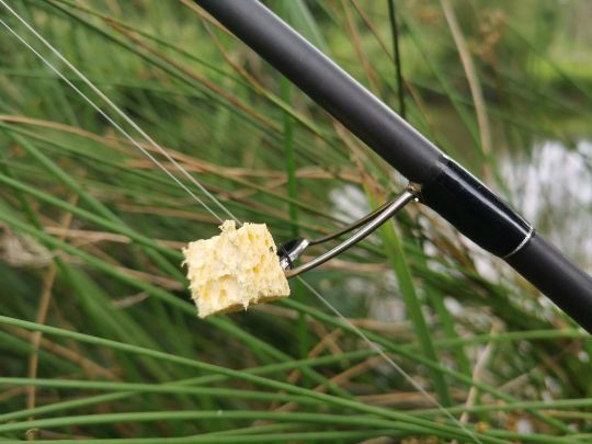 Le même montage que pour la pêche au pain et un morceau d'éponge on ne peut plus basique permet de tromper la méfiance des carpes.