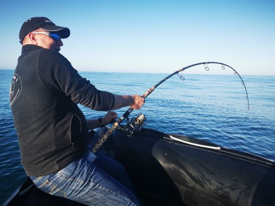 TOP 10 : Cannes à Pêche Daiwa pour le Thon - Leurre de la pêche