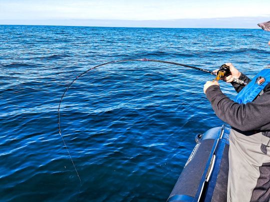 La pêche en verticale reste la plus utilisée sur les zones profondes.