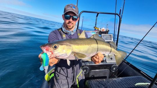 Une dérive bien callée, du poisson actif : Le résultat ne se fait pas attendre ! 