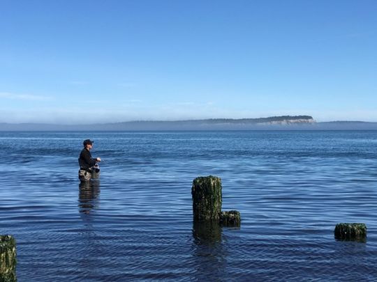 La région de Seattle et la côte nord-ouest des États-Unis recèlent de spots de pêche très appréciés des pêcheurs à la mouche.