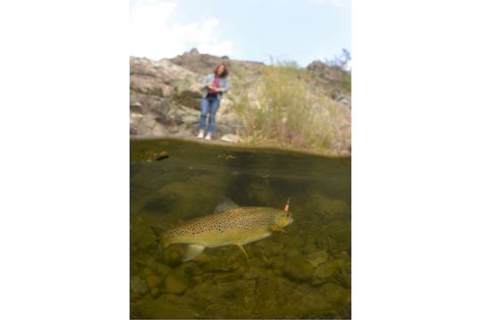 une belle truite et la pêcheuse