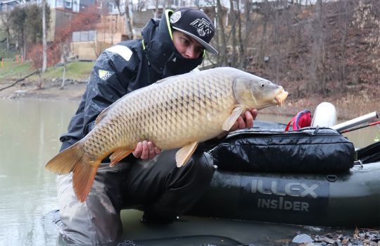 Les carpes et les dorés fréquentent les mêmes zones.