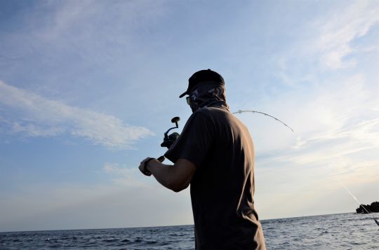 Lancer le bon leurre sur la bonne zone