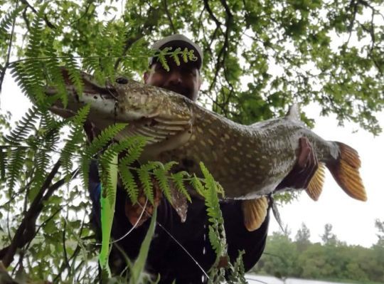 Lorsque le créneau est bien choisi et identifié, les sorties courtes permettent bien souvent de faire du poisson.