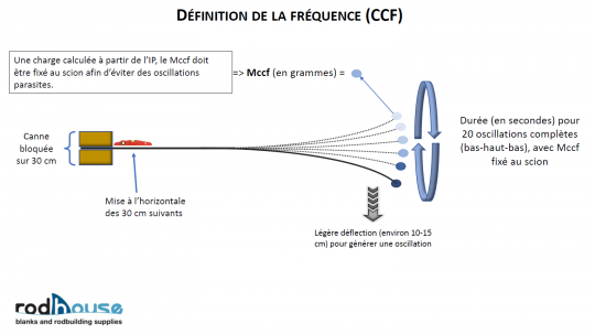 Mise en place du protocole nécessaire à la mesure de CCF d'une canne.