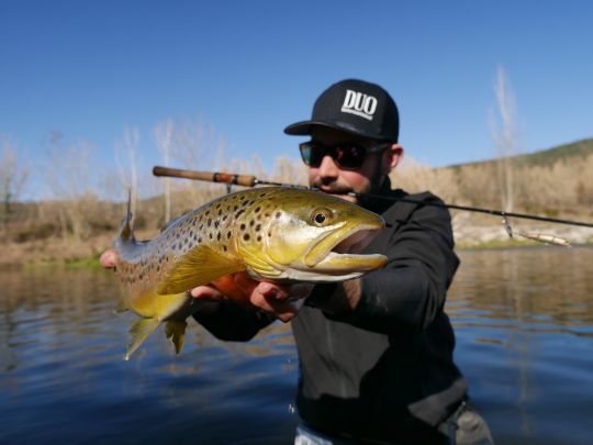 Un leurre pour les poissons difficiles