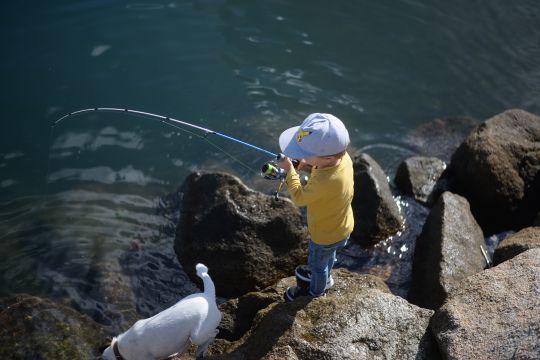 Une canne courte offre une meilleure maniabilité pour pêcher dans les rochers