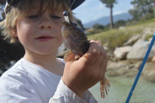 Le gobie en rockfishing ou l'école de la pêche au leurre pour les enfants