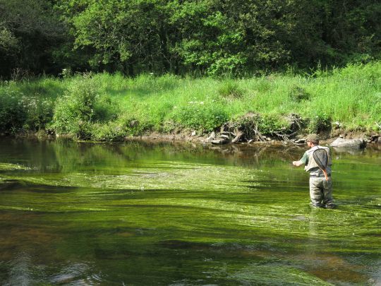 Pêche de la truite dans une nature sauvage