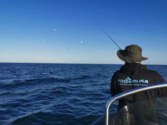 Les oiseaux sont un signe évident que le pêcheur ne doit absolument pas rater !