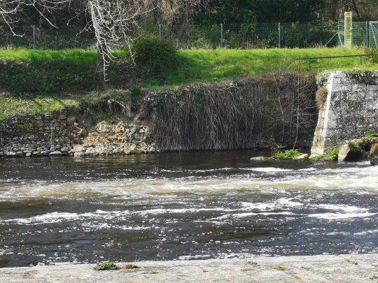 Lire l'eau permet de comprendre la dynamique des courants et de déterminer la position des poissons.