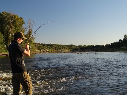 Un spot qui se mérite, l'accès n'est pas facile mais les poissons sont là !