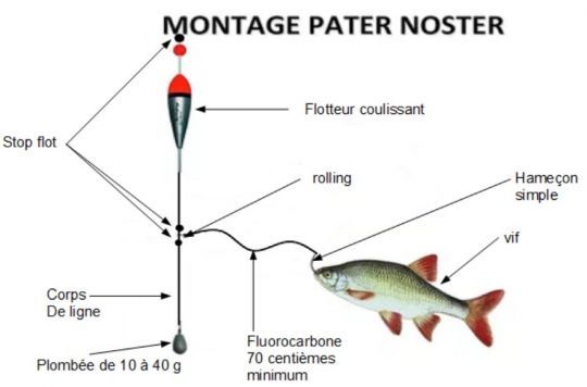 Pêche au vif : l'importance du flotteur 