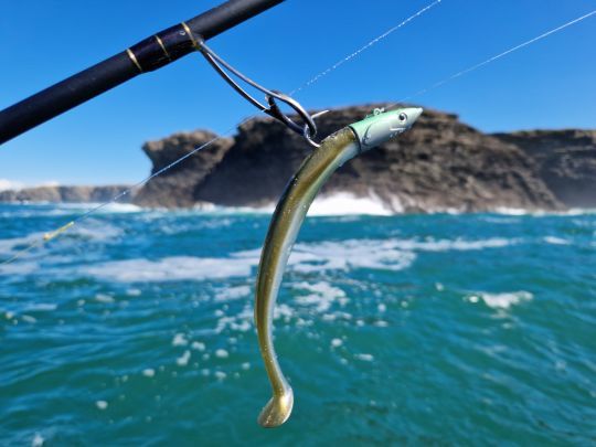 La pêche dans le blanc est souvent productive lorsque l'on recherche les bars en bordure. Laissez travailler un shad à la guise du flux et du reflux au plus près de la roche... 