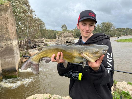 Premier poisson du séjour, un joli channel catfish