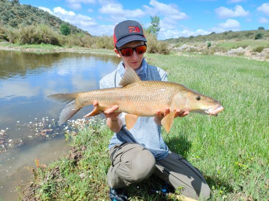 Mon nouveau record barbeau à la mouche, 68 cm !