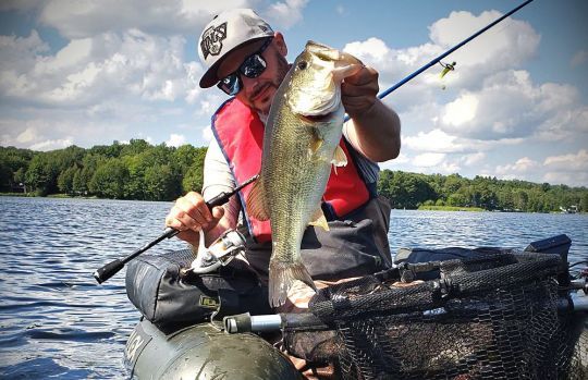 Le Québec accueil une belle population de Black-bass à grande bouche.