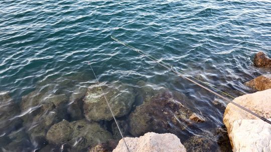 Pour pêcher au poser, en surfcasting, du bord ou en bateau