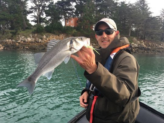 Bar du Golfe (56) pêché en soie intermédiaire avec un clouser minnow, mouche incontournable pour le bar