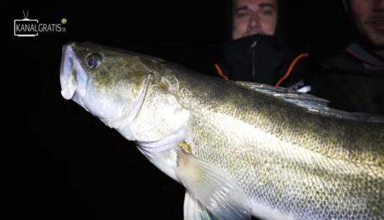 Un gros poisson pour Nays à la nuit tombée !